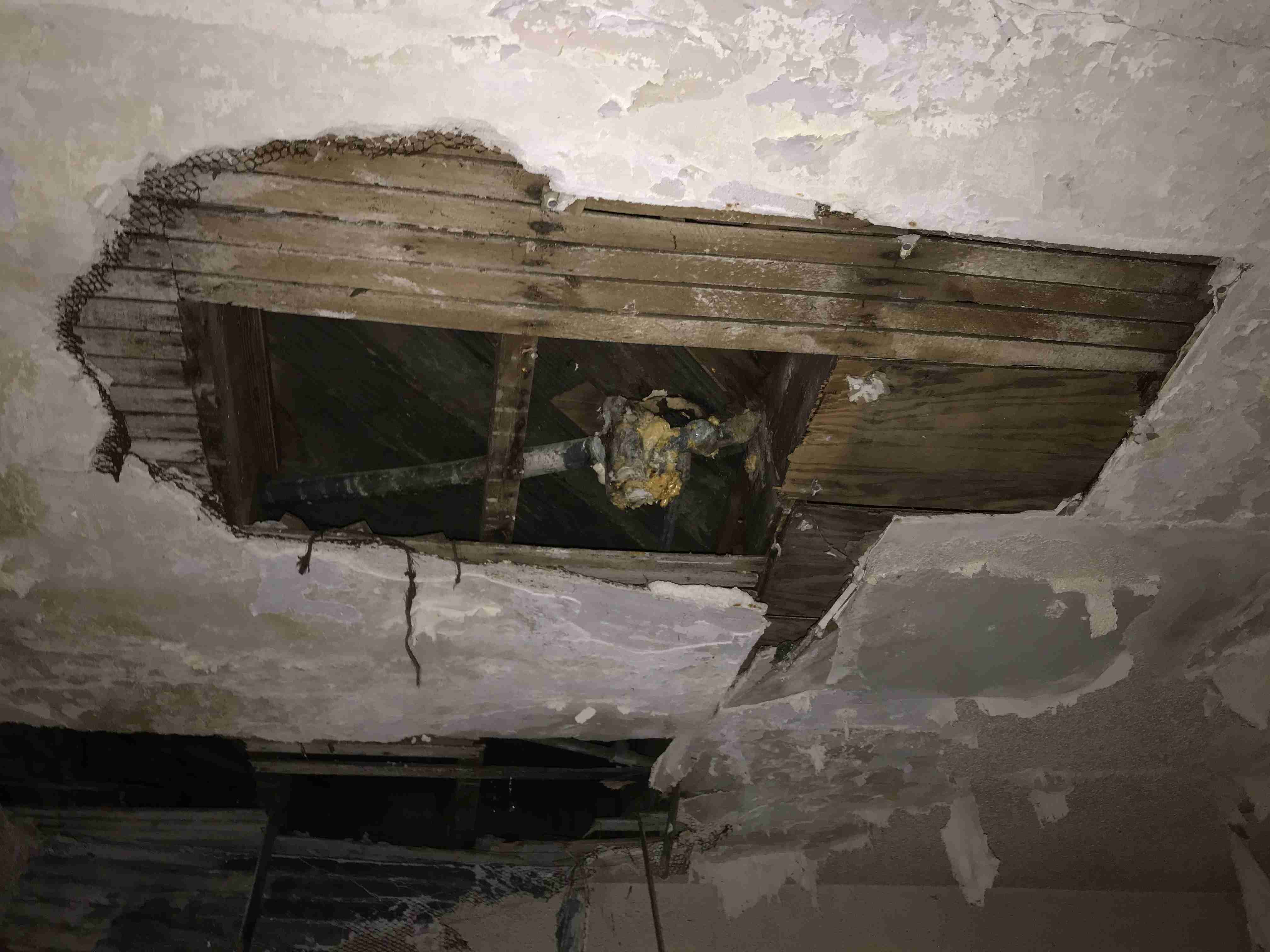 Photo Oct 13, 2 02 32 PM.jpg